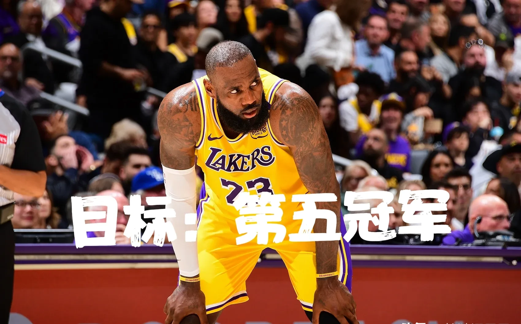 包含持续失利首场状态出色，雄鹿观众沸腾！，詹姆斯重返赛场引发球迷热议的词条